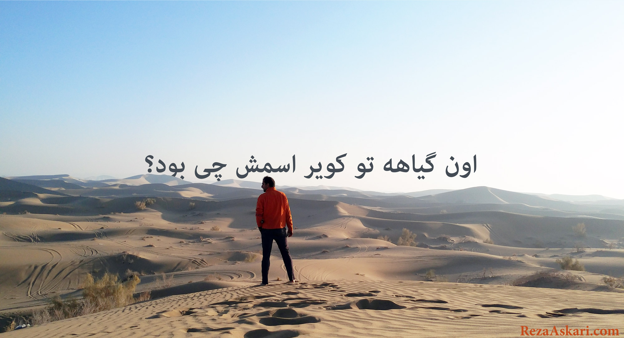 گیاه-کویر-رضاعسکری